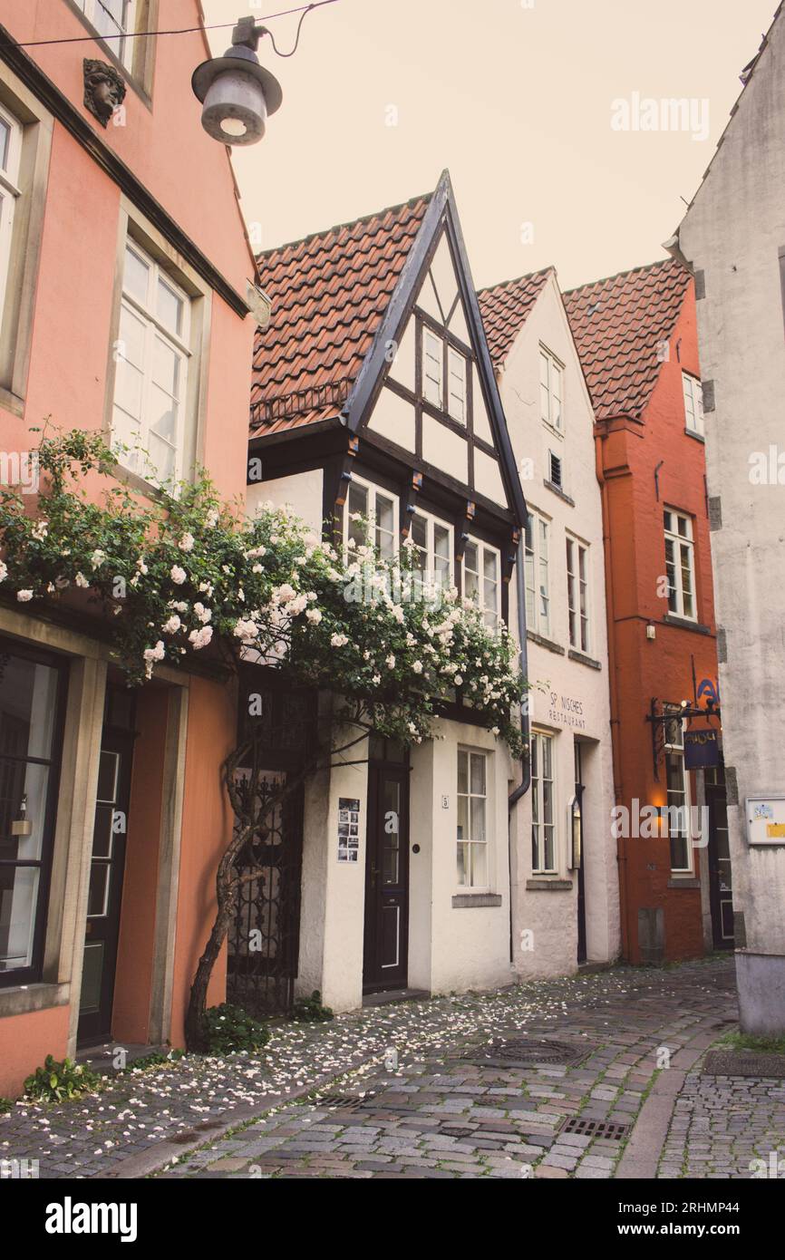 Enge Straße im historischen Stadtteil Schnoor von Bremen. Leere Altstadt mit Geschäften und Häusern in Bremen. Mittelalterliche Gebäude mit Blumen an der Wand. Stockfoto