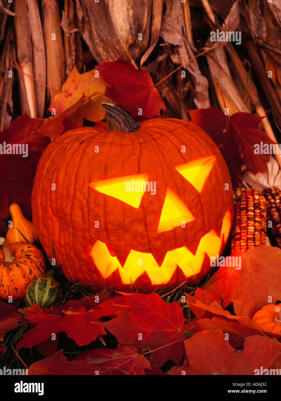 Jack-o-Laterne Stockfoto