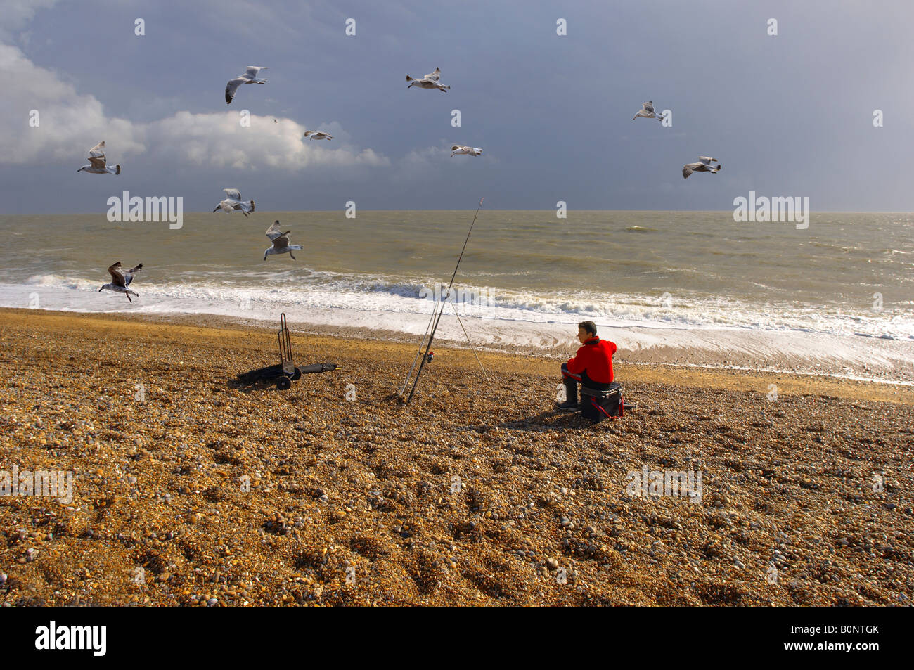 Junger Mann Angeln am Strand bei Aldeburgh Suffolk, mit Möwen Stockfoto