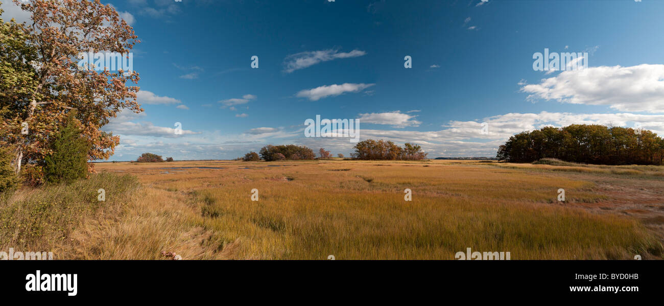 Das grosse Moos von Rowley Massachusetts gesehen ist ein 20.000 Hektar großen Küstenökosystem. Stockfoto