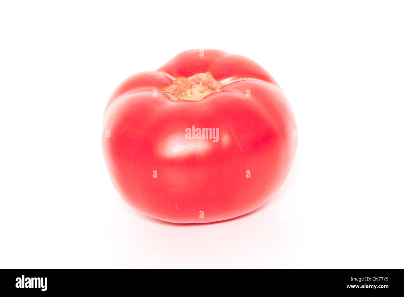 Rote Tomate Stockfoto