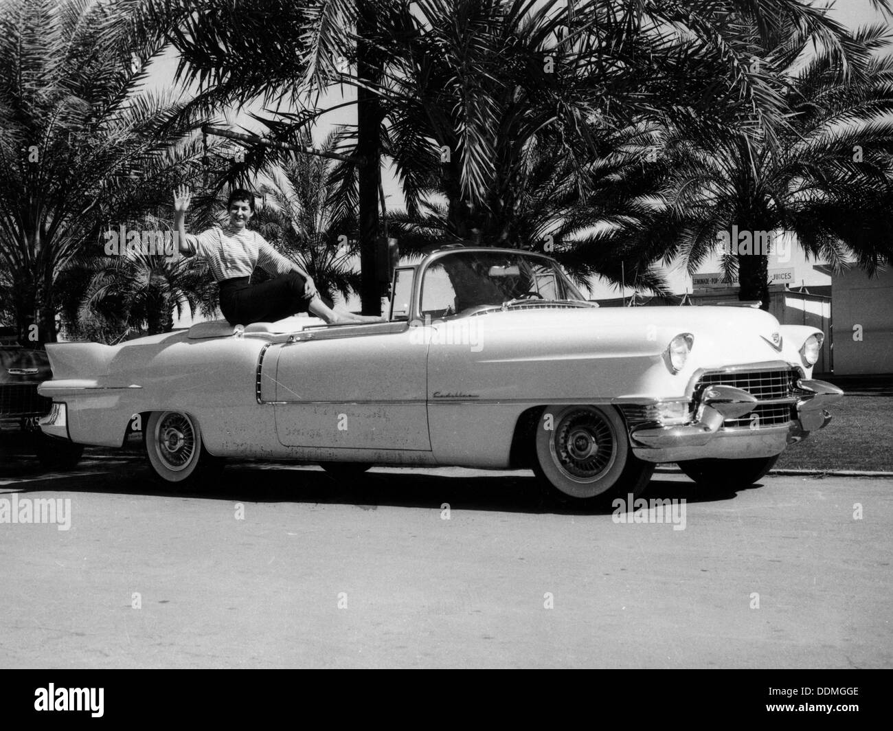 1955 Cadillac Eldorado Cabrio, (c 1955?). Artist: Unbekannt Stockfoto