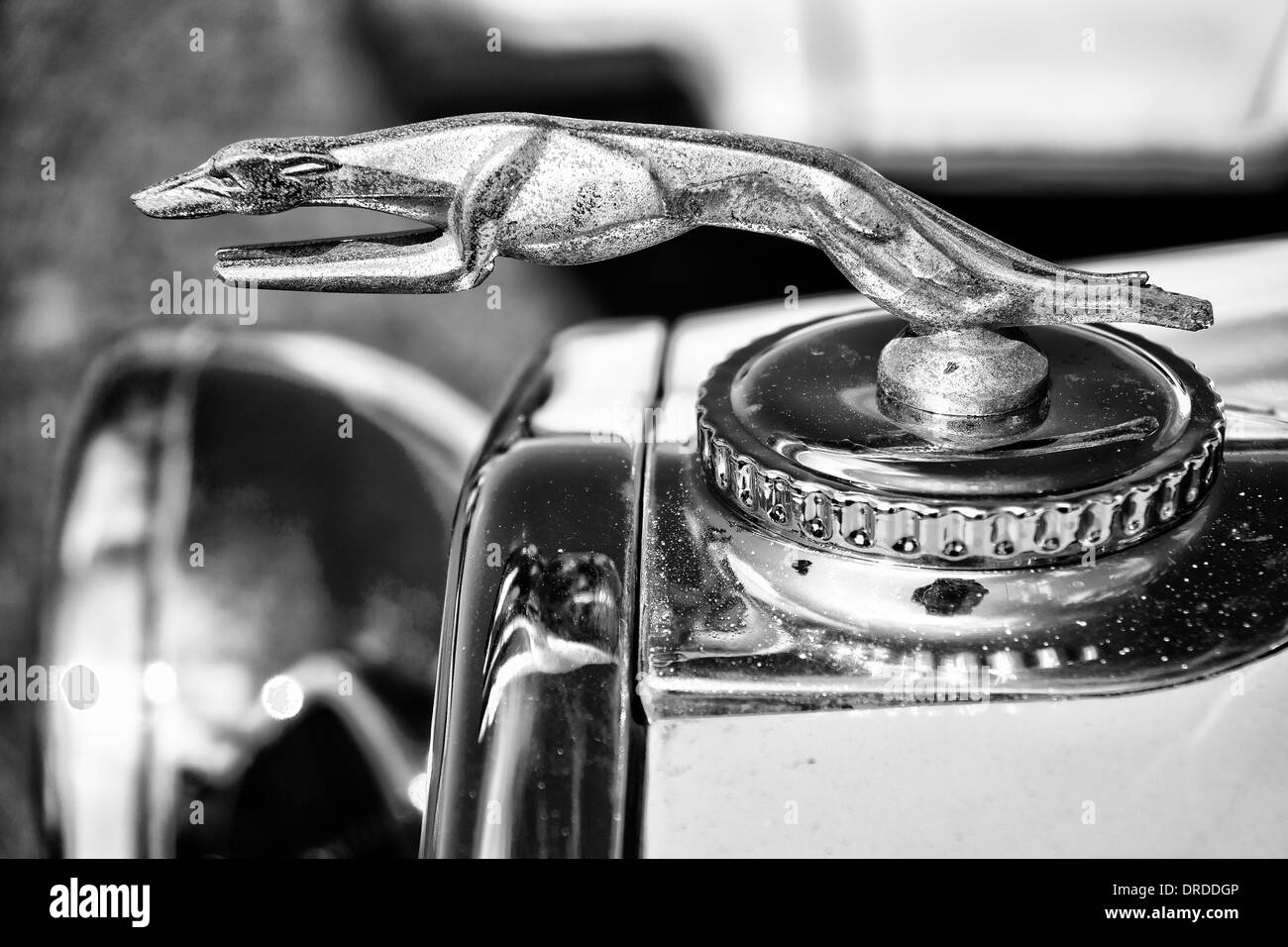 Das Emblem auf der Motorhaube eines Autos DeSoto sechs Cabrio Coupe (Chrysler), schwarz / weiß Stockfoto