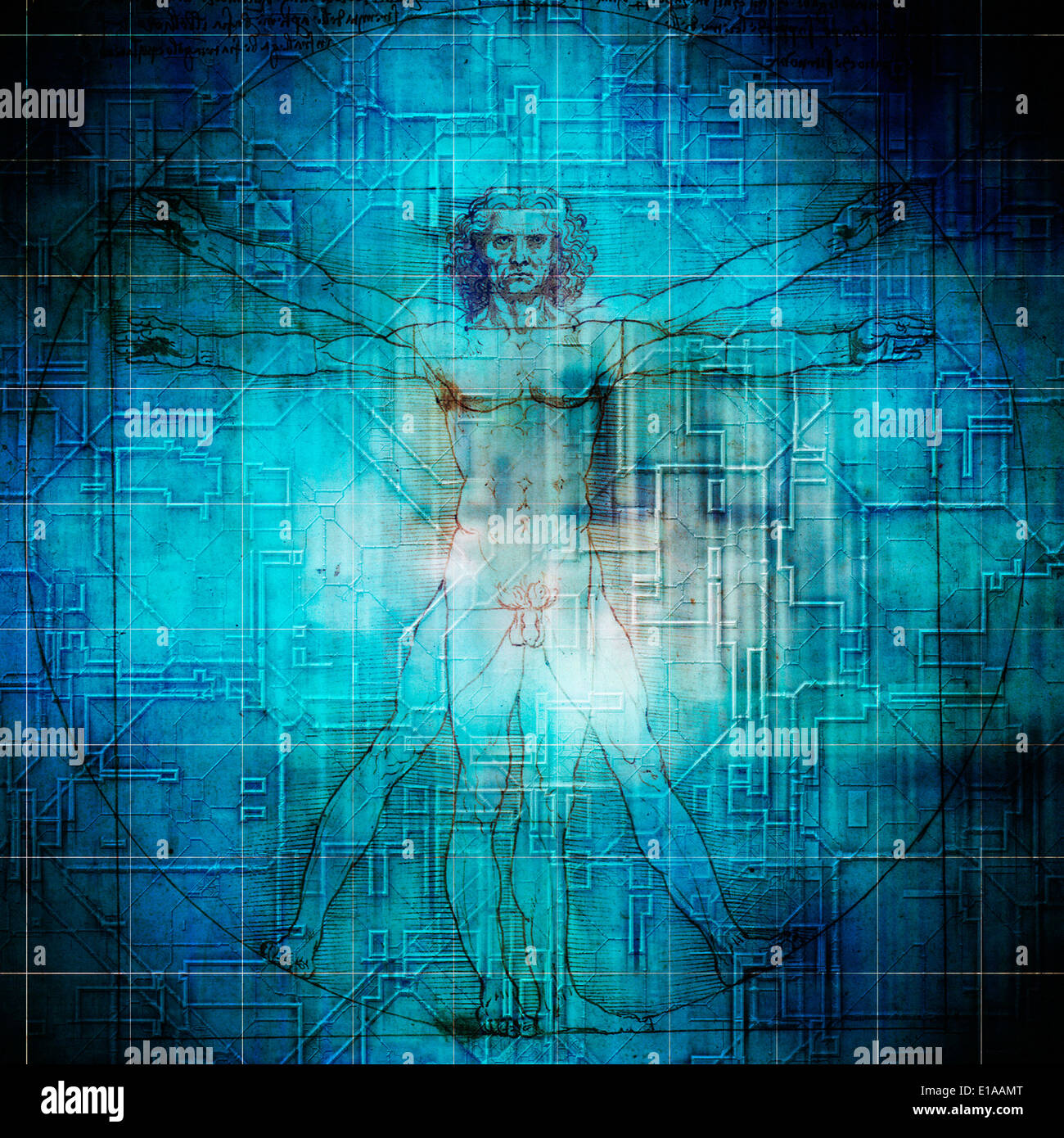 Vitruvian oder Vitruv Mann, künstlerische composite Stockfoto