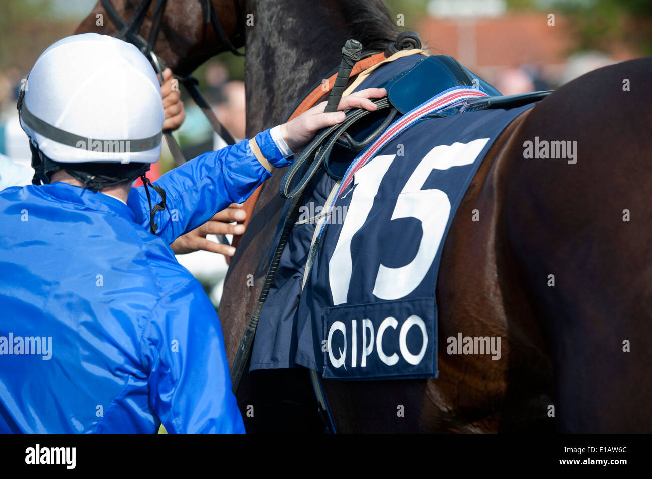 Mark Westley Fotografie Newmarket Rowley Meile Rennbahn Gewinner Gehäuse 4. Mai 2014 Stockfoto