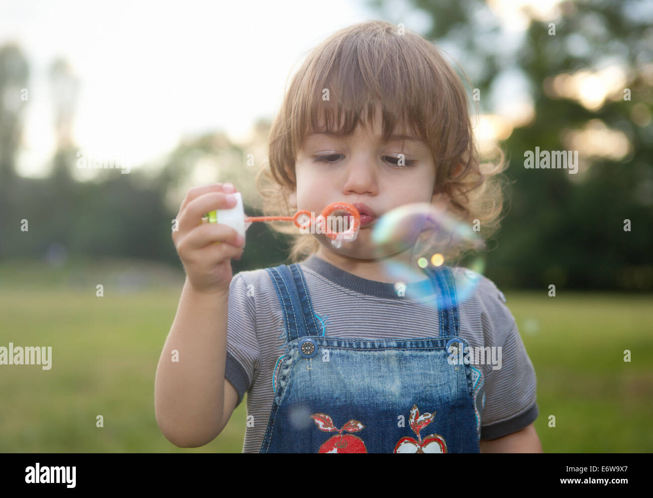 Kleiner Junge bläst Seifenblasen im Park. Stockfoto