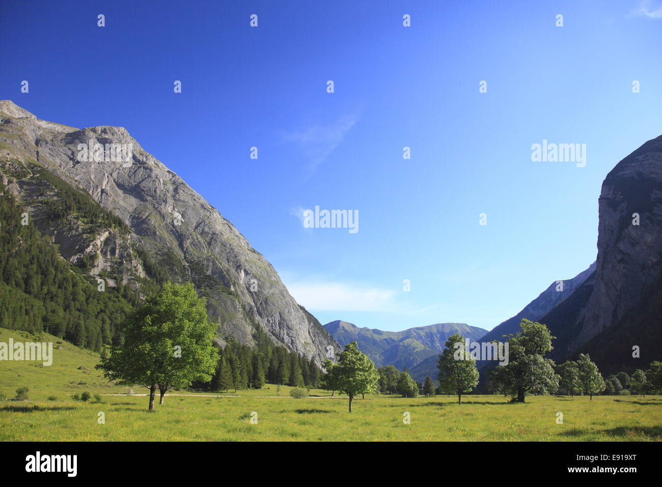 Landschaft Stockfoto