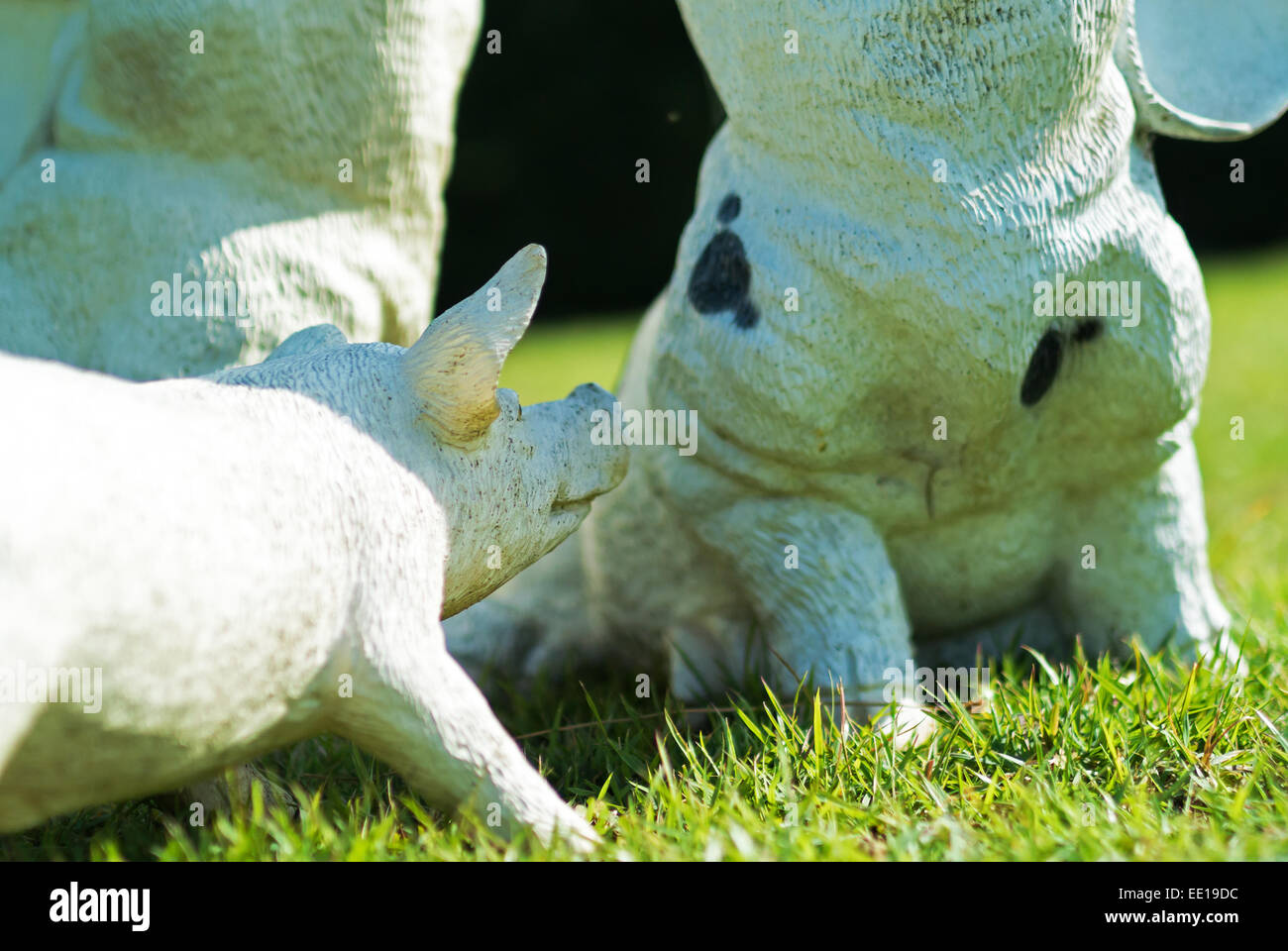 Steinstatue Schwein lächelnd weiches Licht. Stockfoto