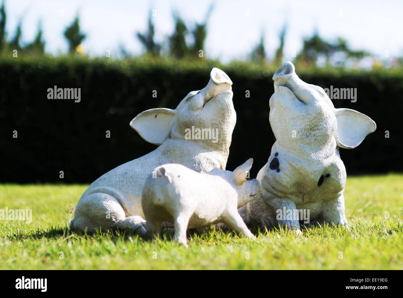 Steinstatue Schwein lächelnd weiches Licht. Stockfoto