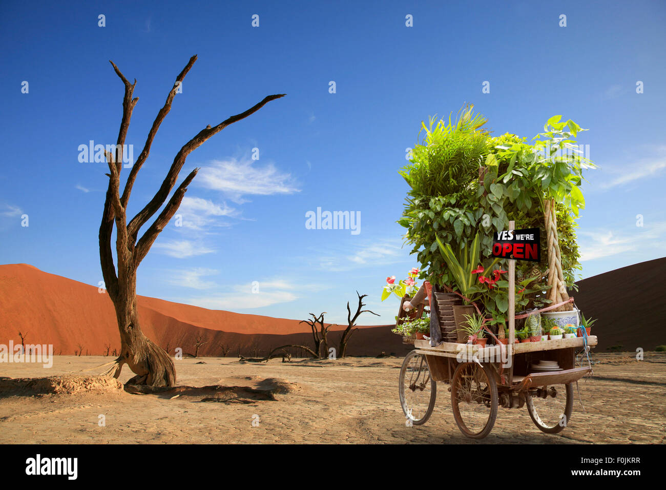 Abbildung eines Radfahrers sein Fahrrad auf der trockenen Pfanne des Sossusvlei in Namibia und mit Blumen und Pflanzen Stockfoto