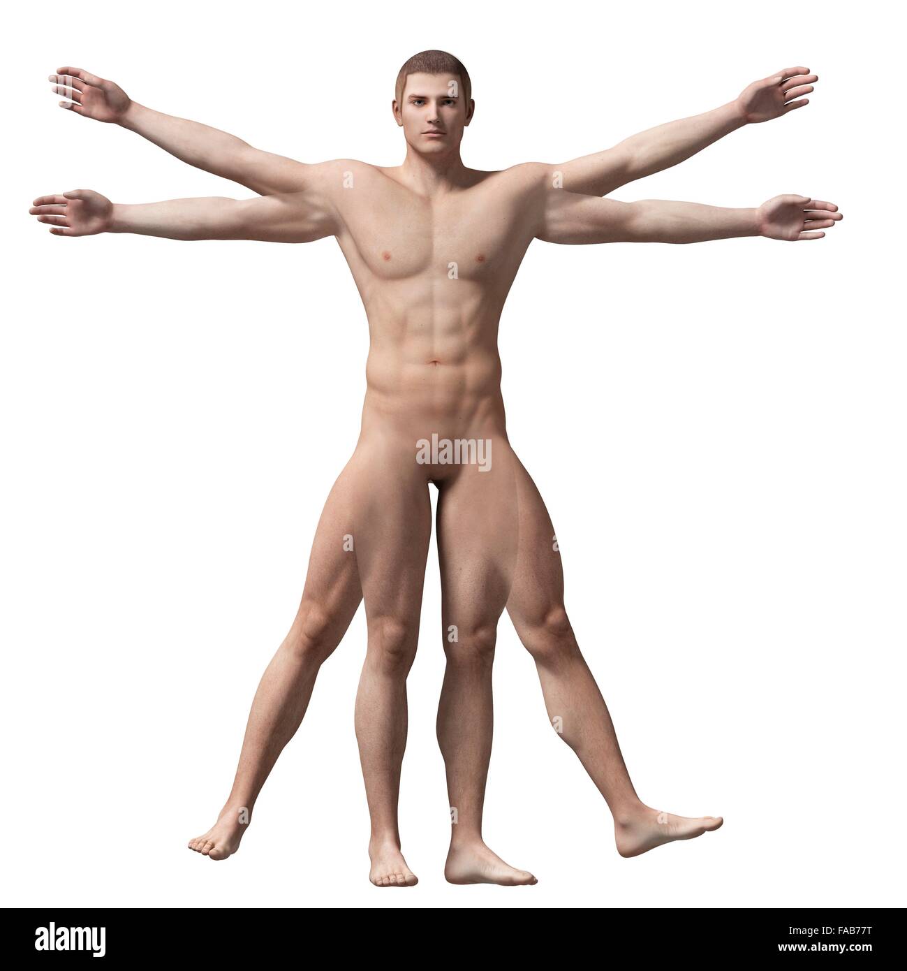 Menschliche Anatomie (Vitruvian Mann), Computer-Illustration. Stockfoto