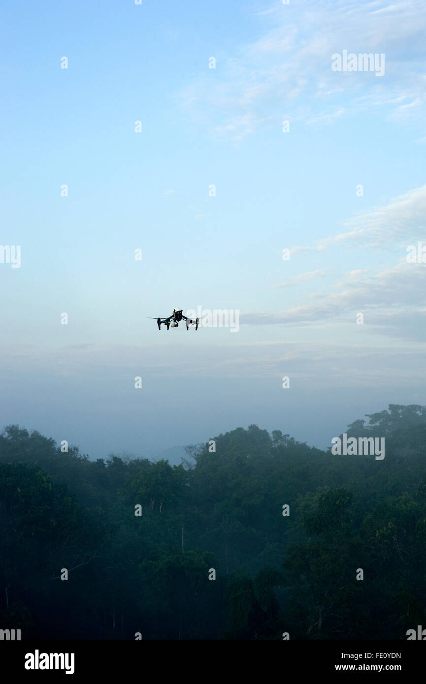 Drohne fliegt über Wald Stockfoto