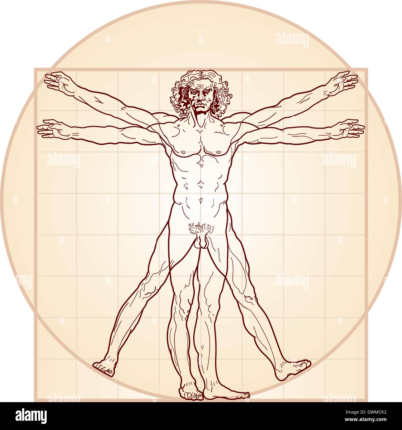 Der vitruvianische Mensch (Homo Vitruviano) Stock Vektor