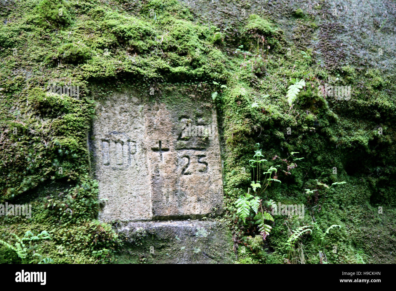 Schleuse in Hinterhermsdorf Stockfoto