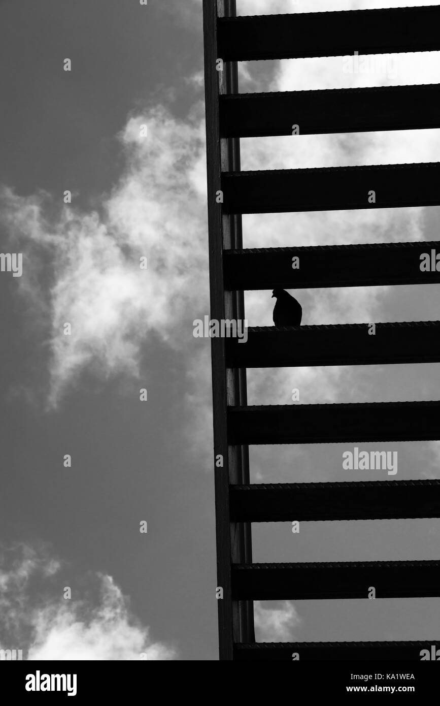 Treppe zum Pigeon Himmel, San Francisco, 2013 Stockfoto