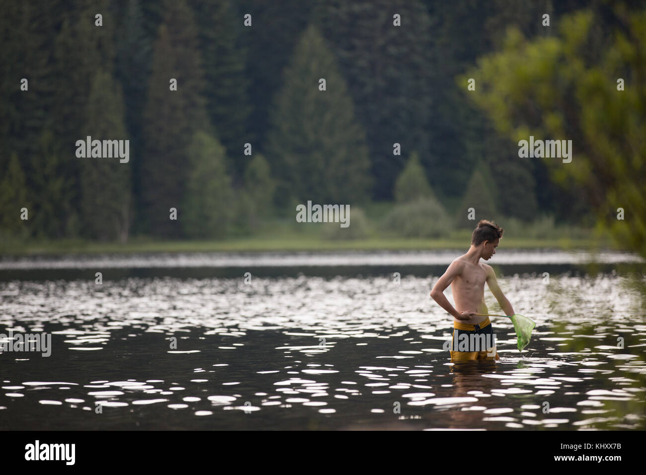 Teenager, Angeln im See, mit net Stockfoto