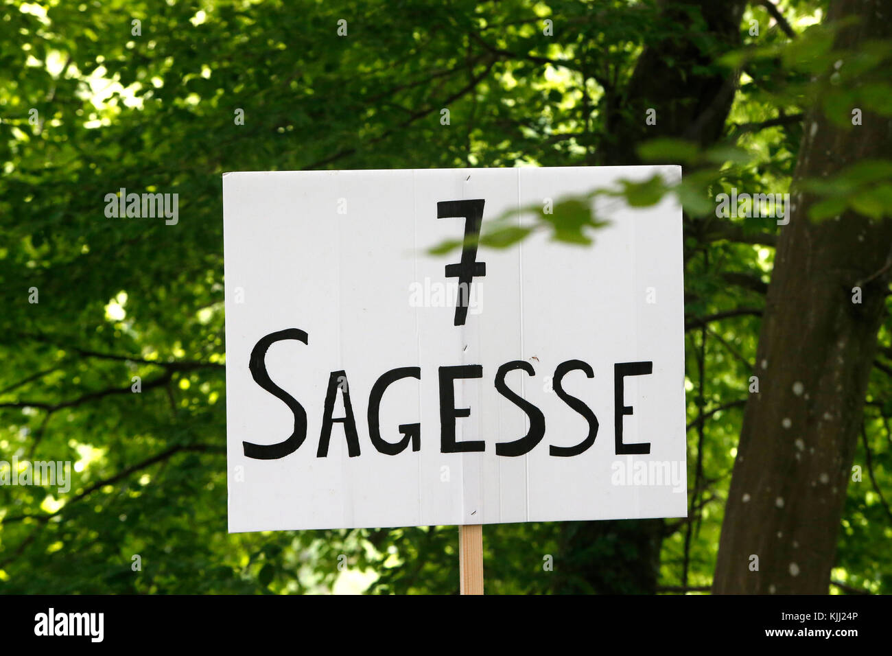 FRAT katholische Jugend Camp. Zeichen: Weisheit. Frankreich. Stockfoto