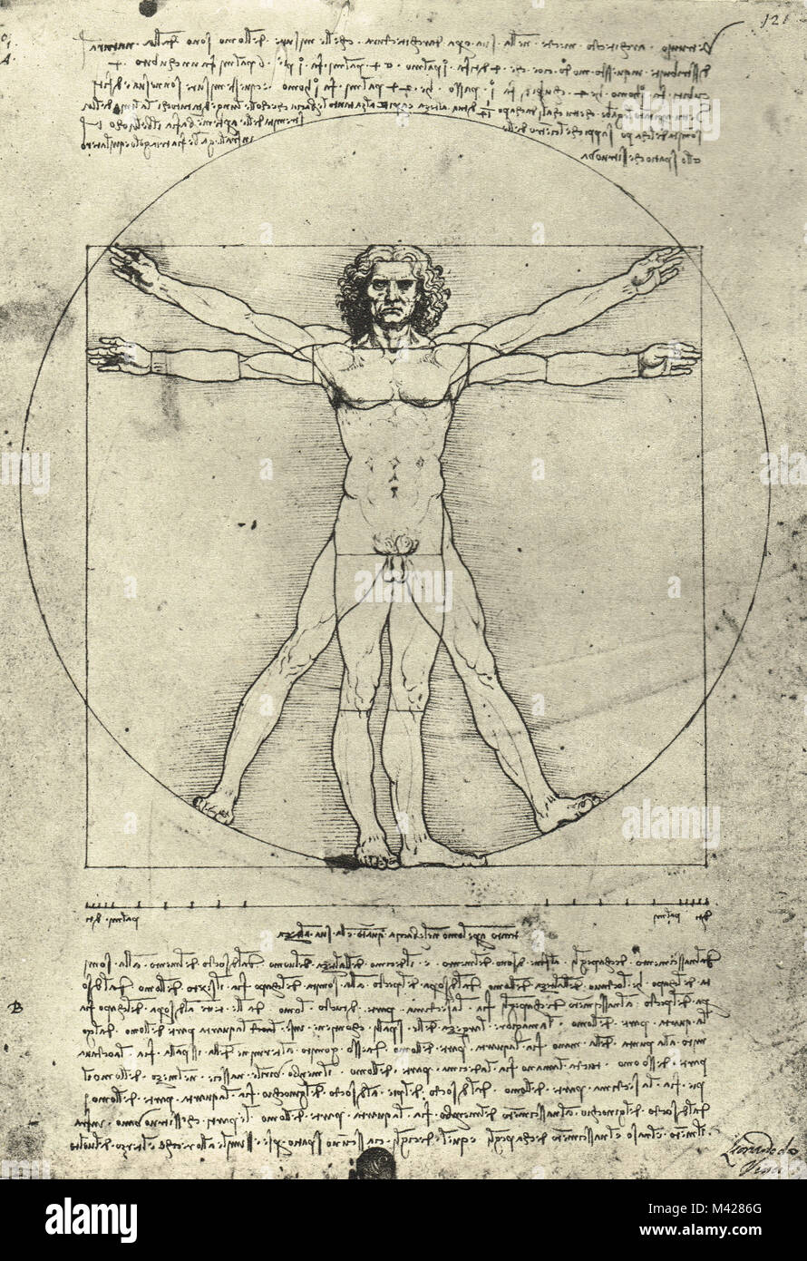 Vitruvianische Mensch, Leonardo Da Vinci, ca. 1490 Stockfoto