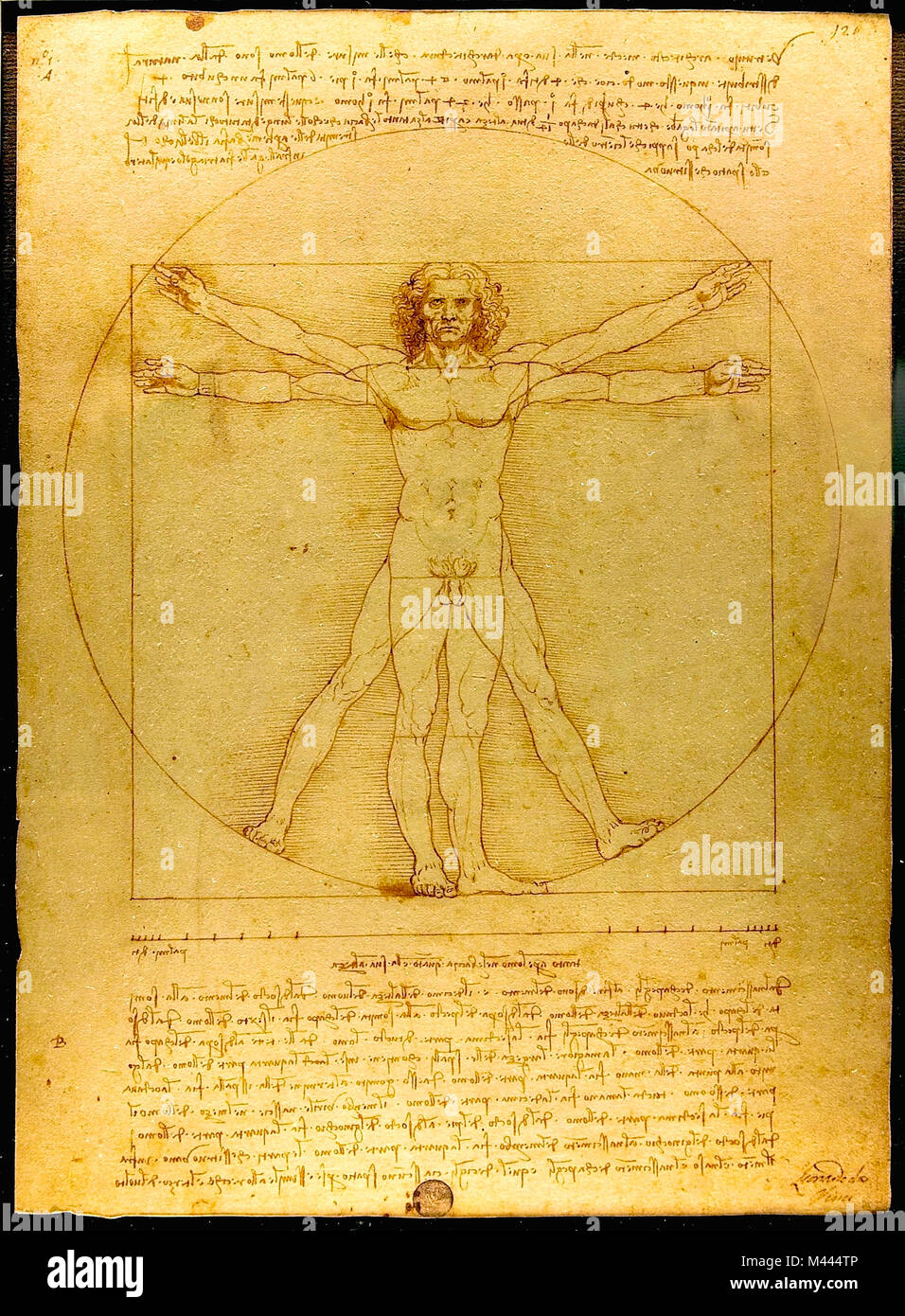 Leonardo da Vinci, Der Vitruvianische Mensch (c.1485) Stockfoto