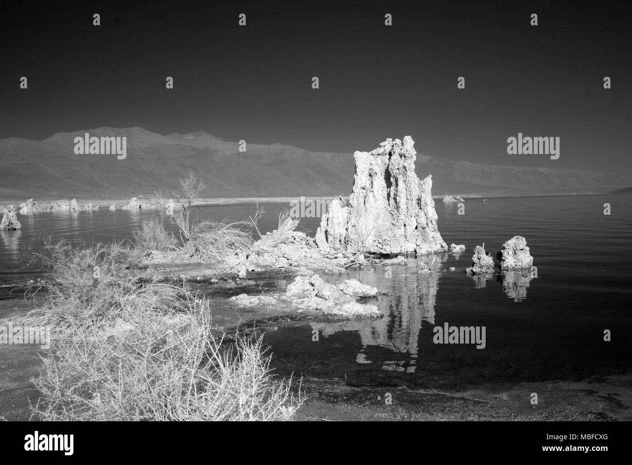 Mono Lake Stockfoto