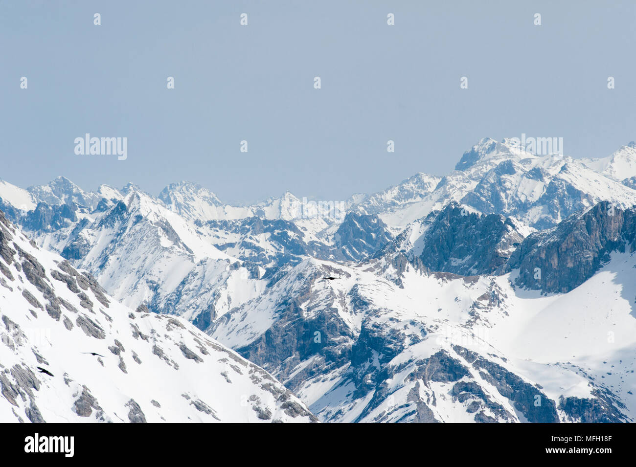 Alpen von der Zugspitze gesehen, in der östlichen Alpen, die Teil des Wettersteingebirges Form, (Deutsch: Wettersteingebirge), Bayern, Deutschland Stockfoto