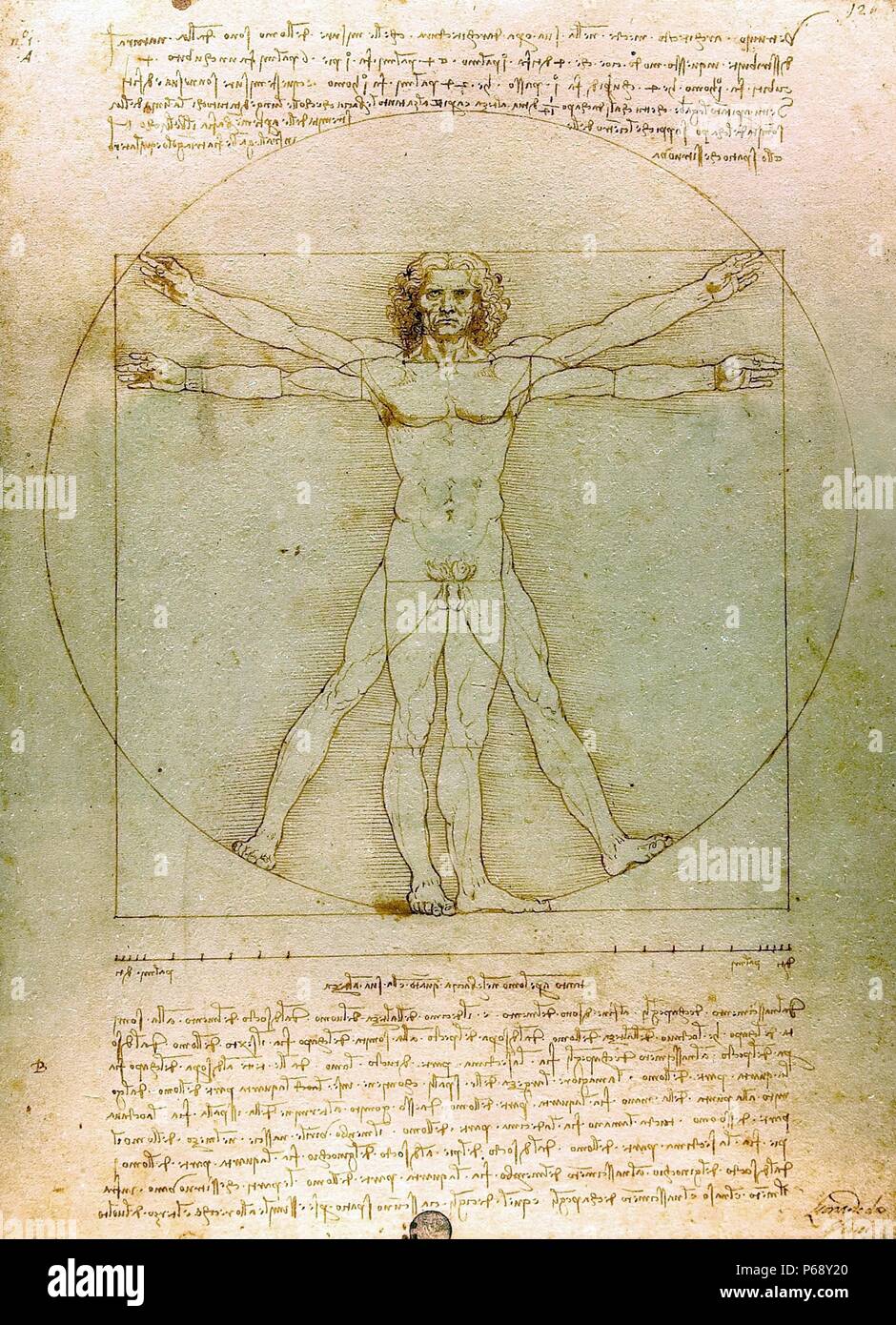 Der vitruvianische Mensch. Von Leonardo da Vinci. Vom 15. Jahrhundert Stockfoto