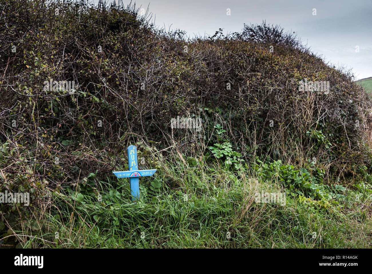 Eine handbemalte Holz- Memorial cross unter Vegetation auf den Gannel Mündung in Newquay Cornwall platziert. Stockfoto