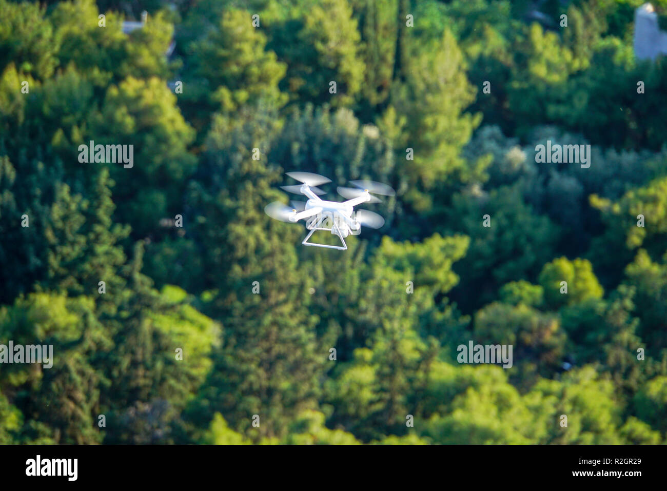 Drohne fliegen auf einem üppig grünen baum laub Hintergrund Stockfoto