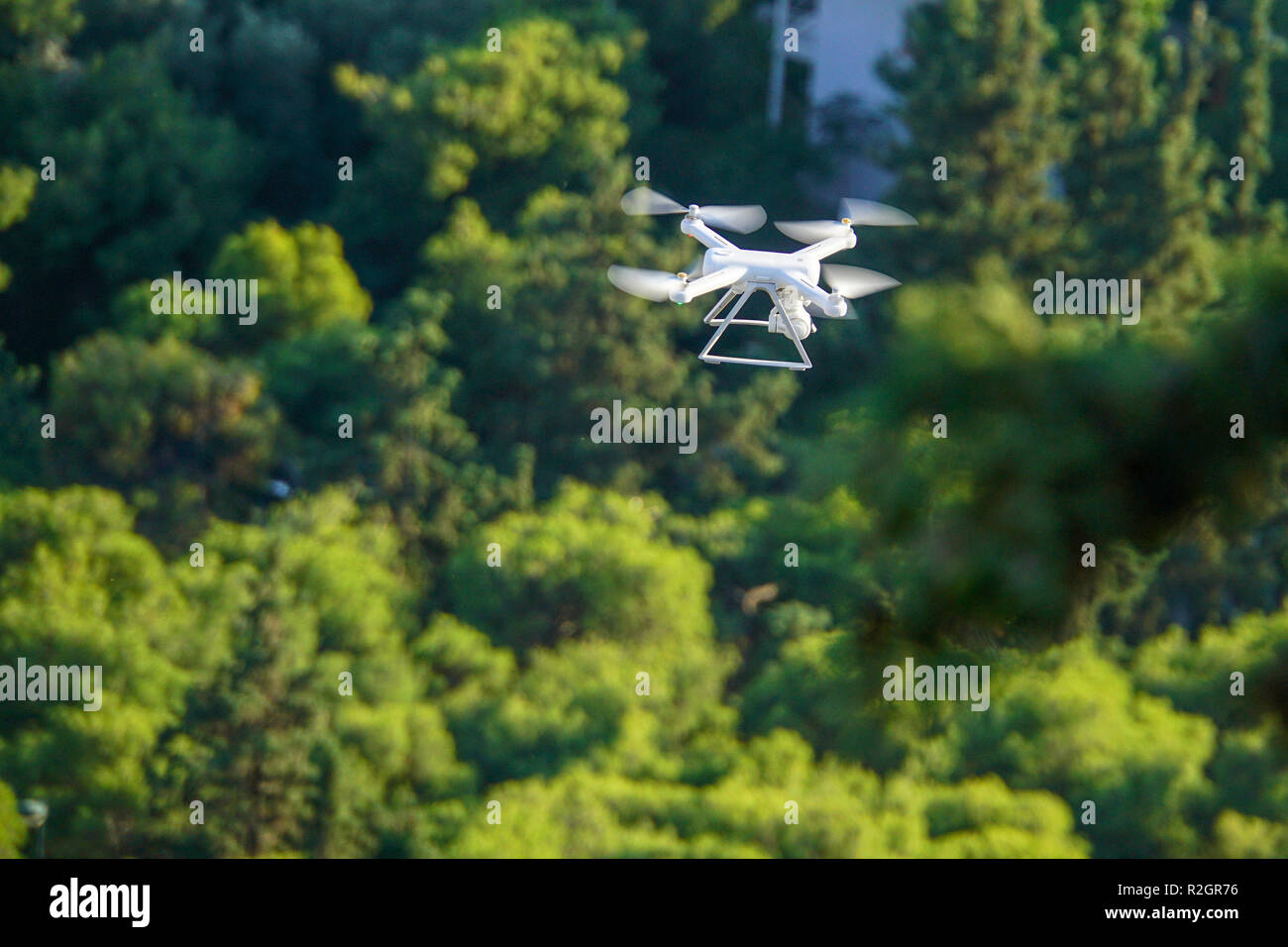 Drohne fliegen auf einem üppig grünen baum laub Hintergrund Stockfoto