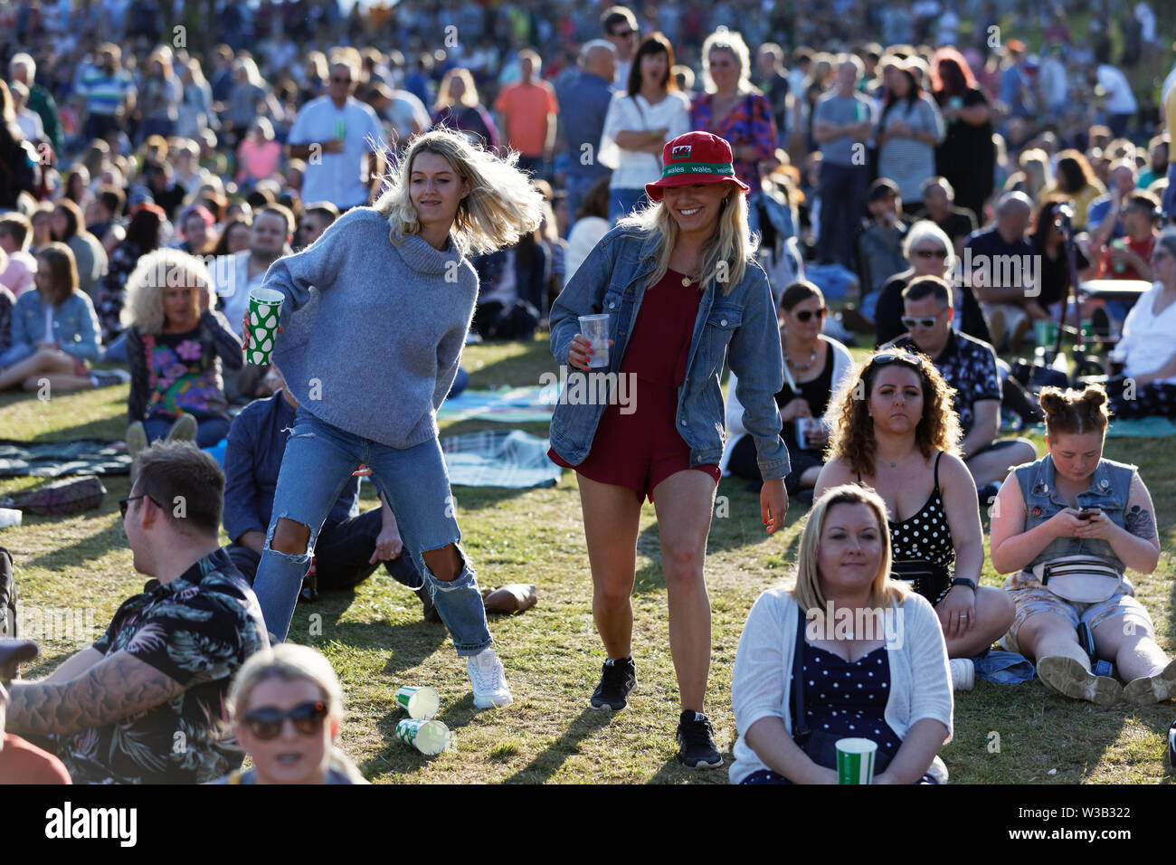 Swansea, Großbritannien. 13. Juli, 2019. Musik Fans in der Menge. Re: Stereophonics live Konzert in der Singleton Park in Swansea, Wales, UK. Credit: ATHENA PICTURE AGENCY LTD/Alamy leben Nachrichten Stockfoto