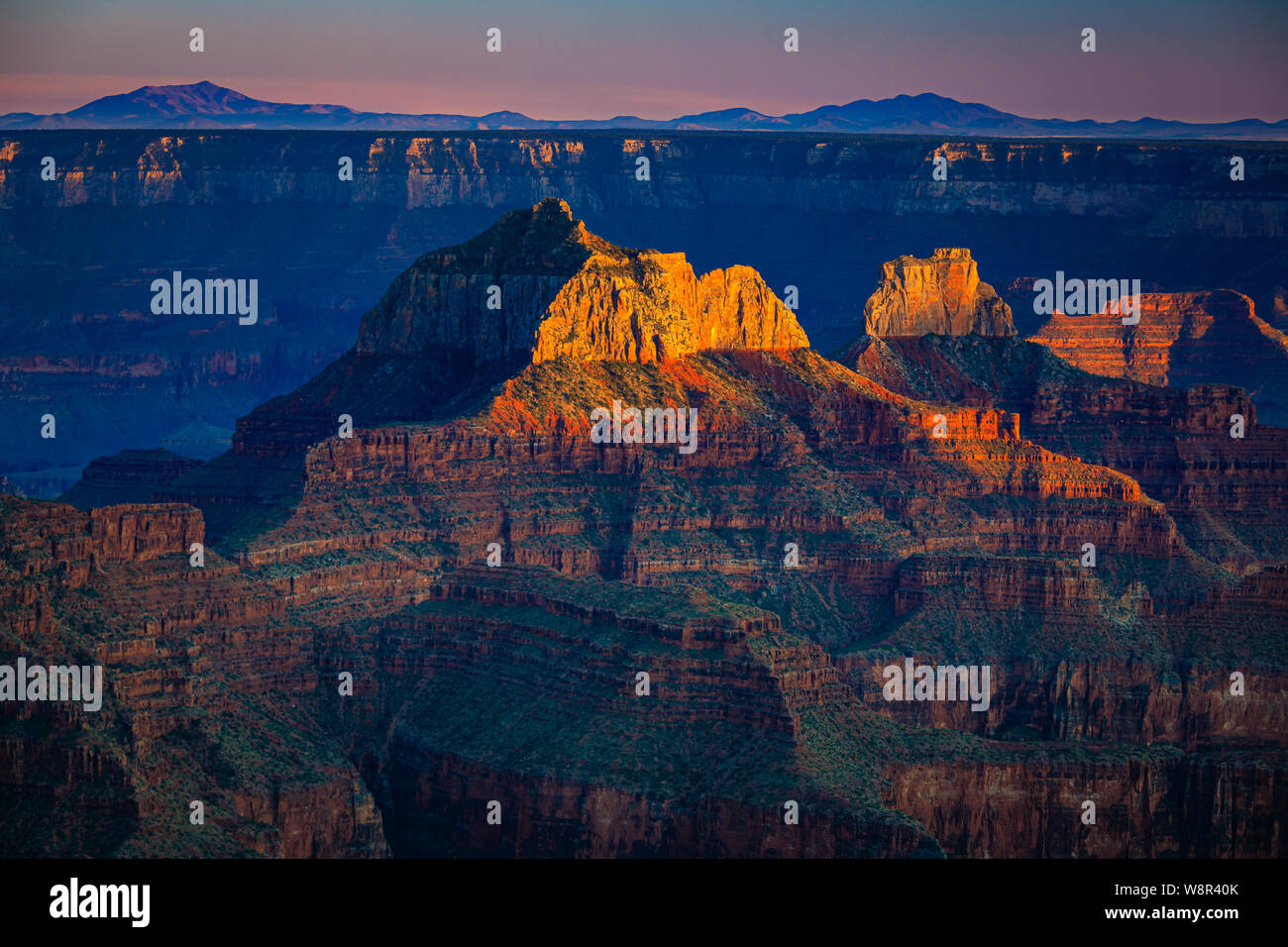 Sonnenuntergang am Bright Angel Point auf der North Rim des Grand Canyon, Arizona.... Der Grand Canyon ist eine steile Schlucht des Colorado River geschnitzt Stockfoto