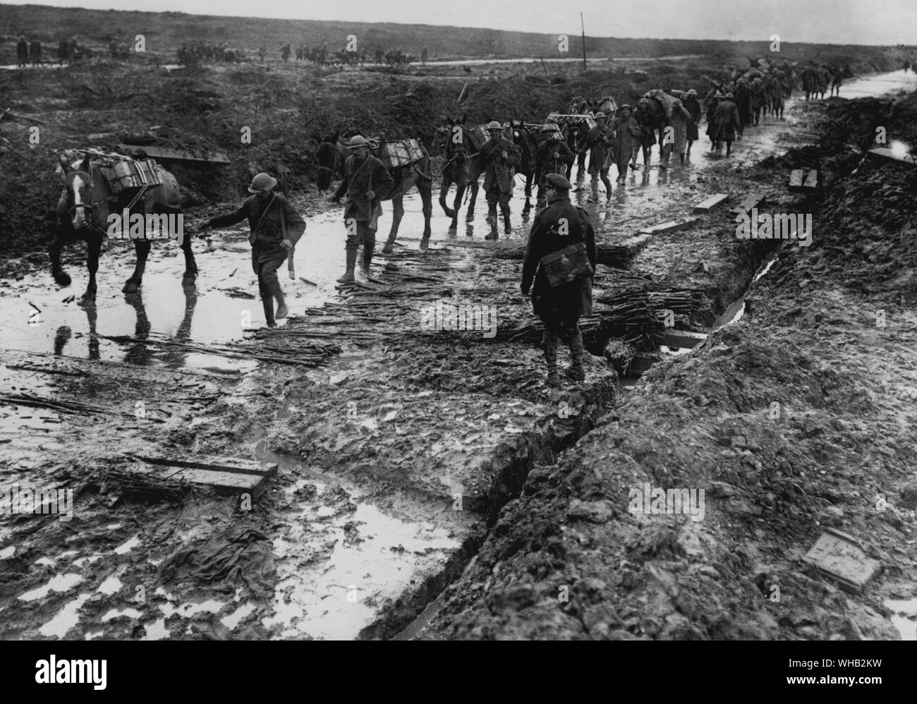 Der Große Krieg-Pack Pferde Aufnahme Munition in die Vorwärts-Bereich - Dezember 1916. Imperial War Museum 1779. Stockfoto