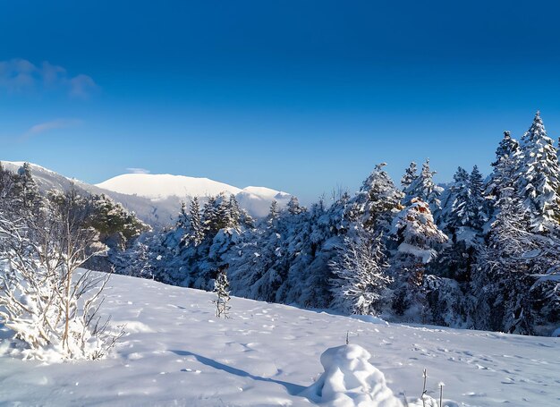 Premium AI Image | Beautiful cold morning winter snow background with ...