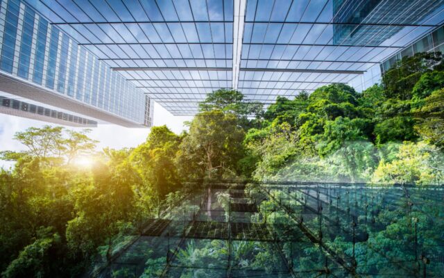 Digitally composited picture of glass office building with green forest overlaid.