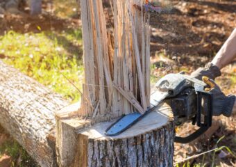 Person using a chainsaw to cut down damaged tree trunk after a natural disaster.