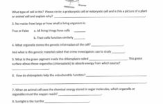 Physical Science Worksheet Conservation Of Energy 2 Answer