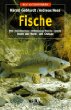 Fische von  Gebhardt Harald und Ness Andreas