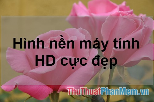 50+ Hình nền máy tính HD cực đẹp 2024