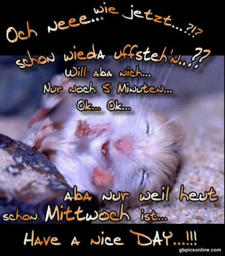 Mittwoch