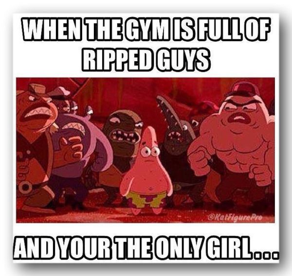 Funny Gym Memes