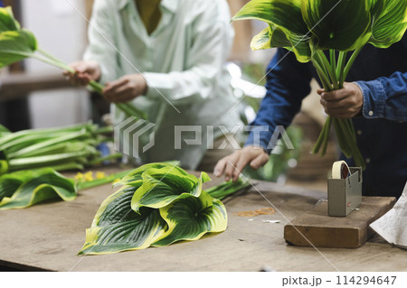 植物の出荷作業をする花卉生産者 114294647