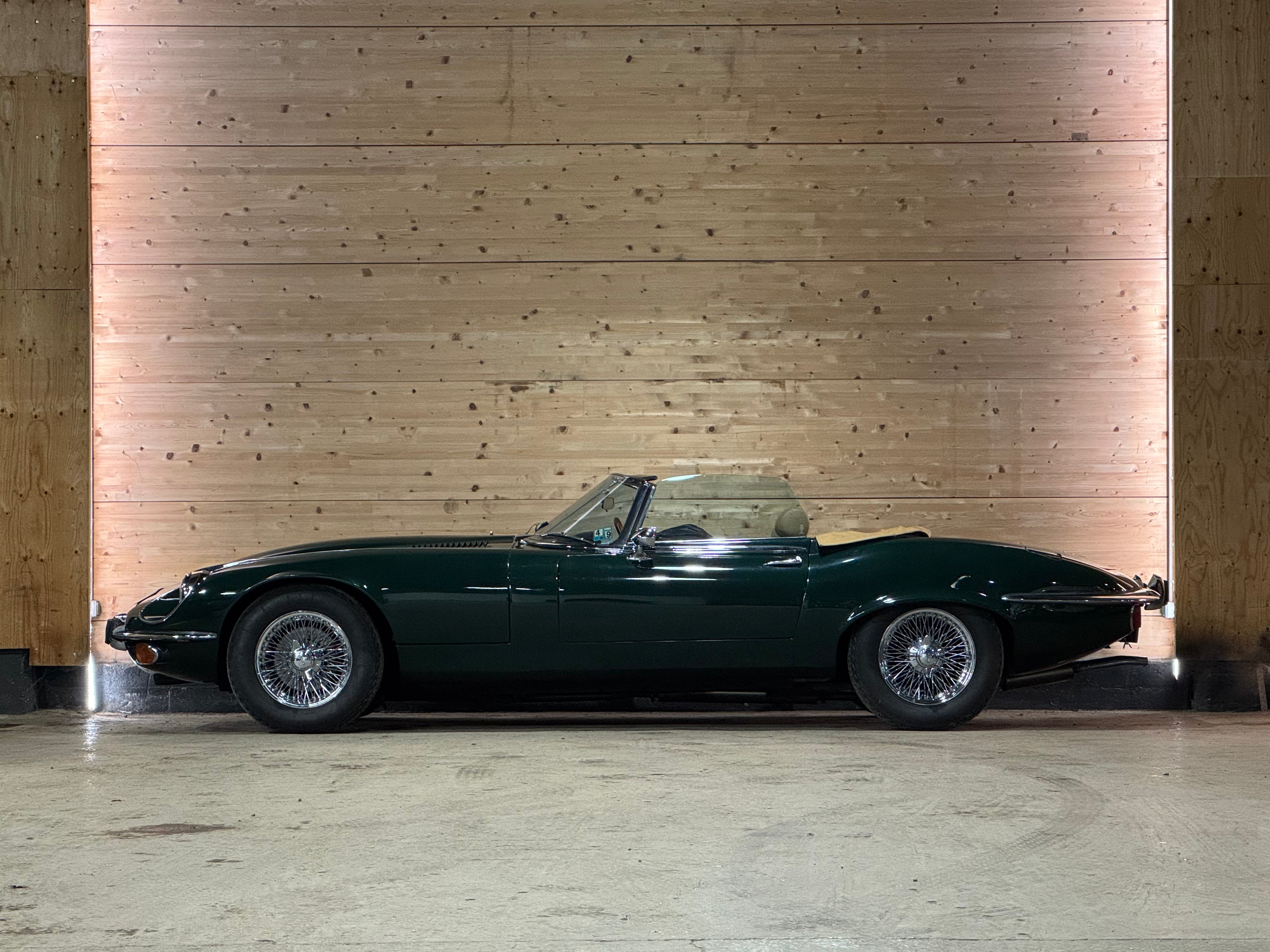 Jaguar Type E V12 Roadster BVM