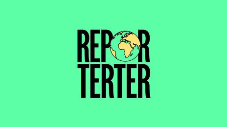 Reporterter