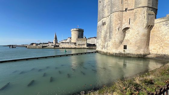 Les tours de La Rochelle